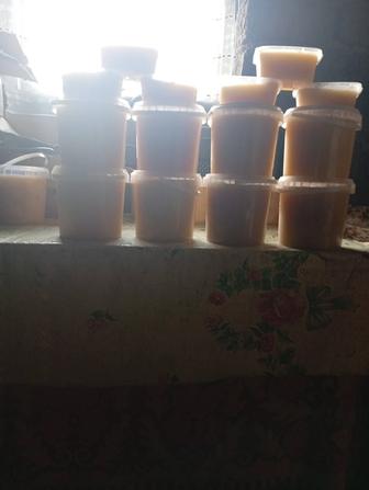 Продам оптом натуральный мед с личной пасеки цветочный разнотравье .