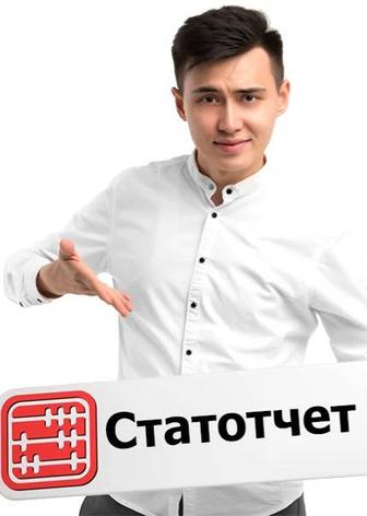 Услуги по сдаче статистической отчетности