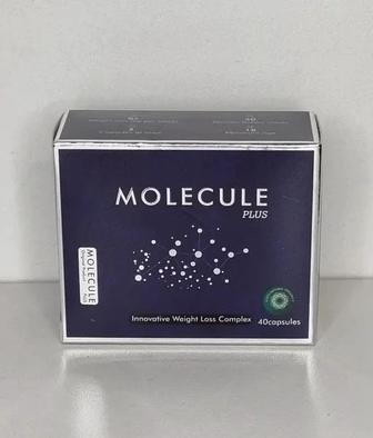 Molecule plus