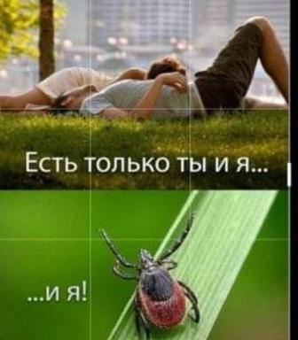 Услуги Дезинфекций