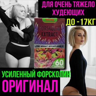 Похудение капсулы Forskolin