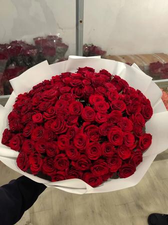 Цветы роза