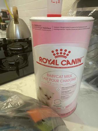 Корм и наполнитель для кошек