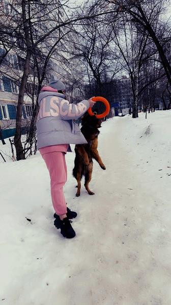 Национальная Кинологическая Ассоциация