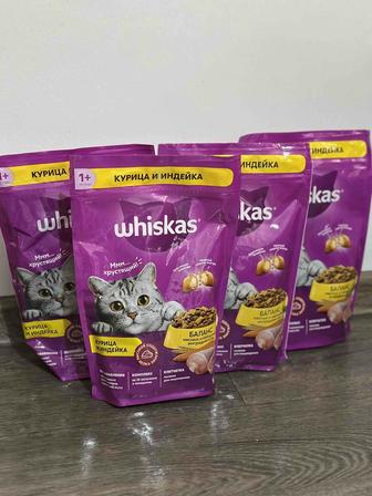 Продаю сухой корм для кошек Whiskas и Kitekat по выгодной цене!