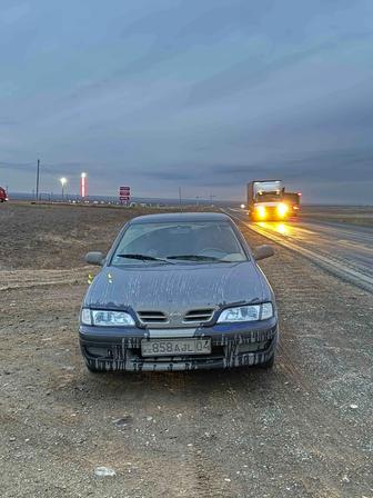 Трезвый водитель