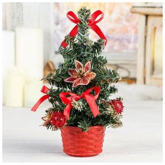 Ёлка зеленая ель голубая живая в горшке к новому году