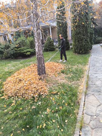 Собираем листи. Чистка огород территорию.уборка дом дача. Порядок дачи