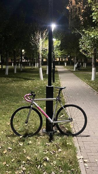 Fixed gear