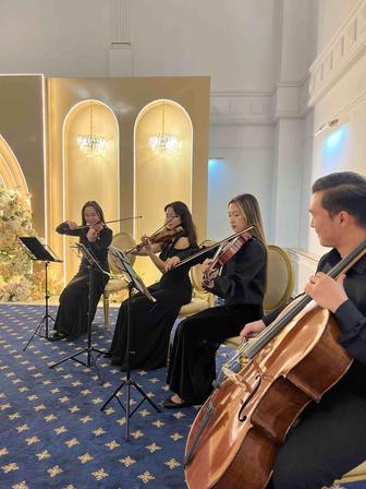 Струнный квартет ЭКИПАЖ