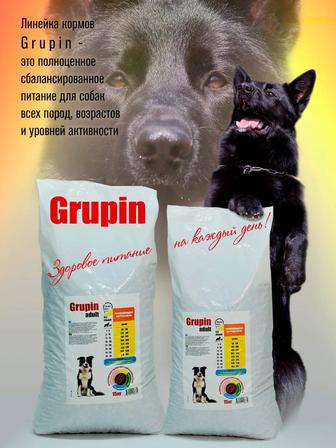 Продам корм Grupin