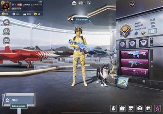 жирный old аккаунт pubg mobile при встрече