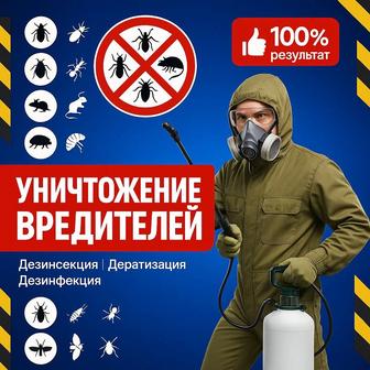 Дезинфекция дезинсекция дератизация