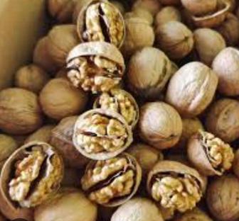 Грецкий орех,свежий