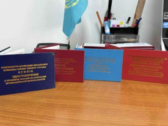 Обучение по птм,пром безопас, биот и электробез и рабочие специальности