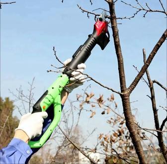 Обрезка деревьев