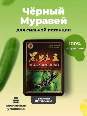 Муравей королевский Black ant 10 таб