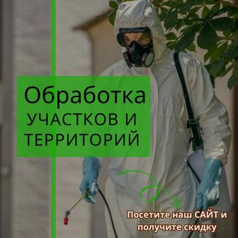 Обработка участка от клещей и насекомых