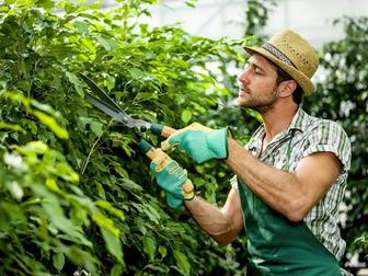 Услуги Садовника .