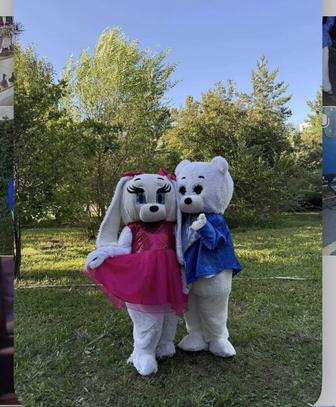 Прокат мишки