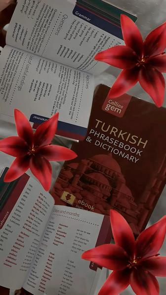 Турецкий язык