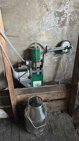 Доильный аппарат продам