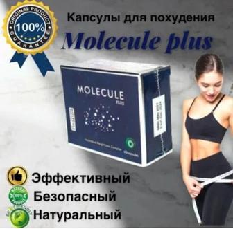 Molecule plus