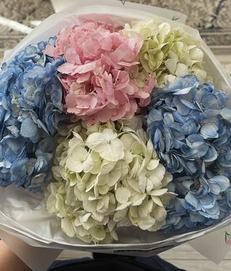 Продаются букеты Гортензия и тд.