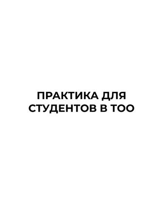 Практика для студентов в ТОО