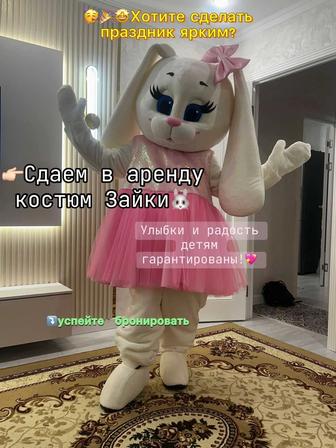 Тедди Мишка Зайка на прокат