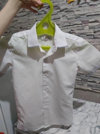Рубашки 32/33 разм