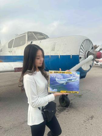 Модель самолета боинг 737-800