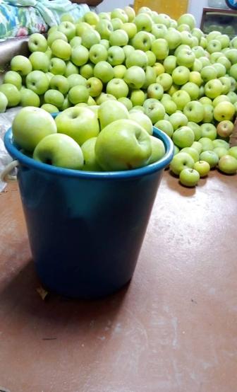 Продаются яблоки зимний сорт, ну ОООооочень вкусные