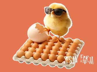 Ломан браун инкубационные яйца несушки проверенное качество