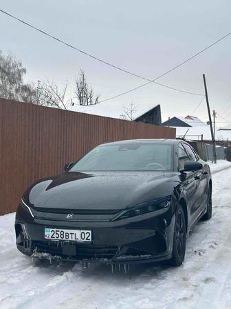 Аренда авто с водителем