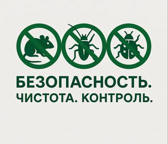 Барлық жәндіктерге және егеуқұйрықтарға қарсы обработка. 24/7. ГАРАНТИЯ