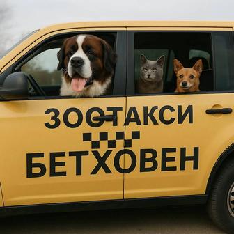 Зоотакси Бетховен. Перевозка собак и кошек по городу Астана и пригороду.