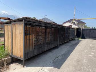 Вольер для собак