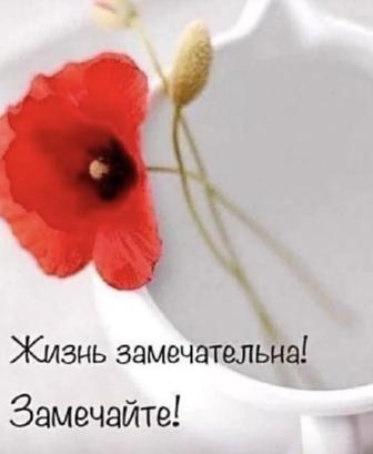 Консультация домашнего персонала(няни, воспитатели, педагоги )