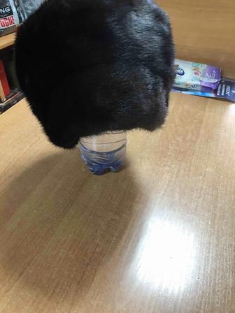 Продам норковые шапки