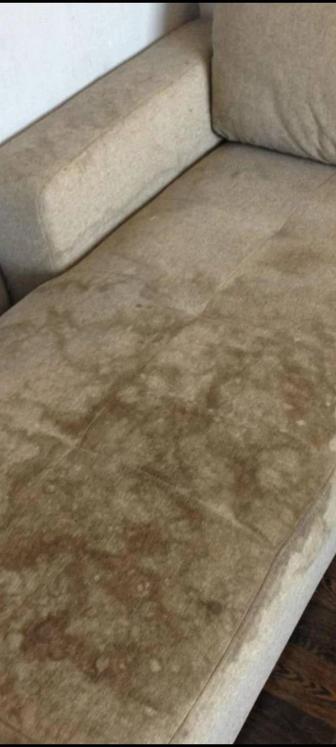 Клининг, химчистка