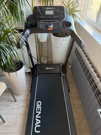 Беговая дорожка Genau