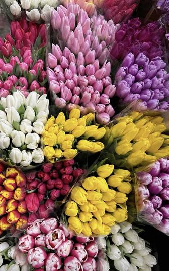 Тюльпаны низкие цены