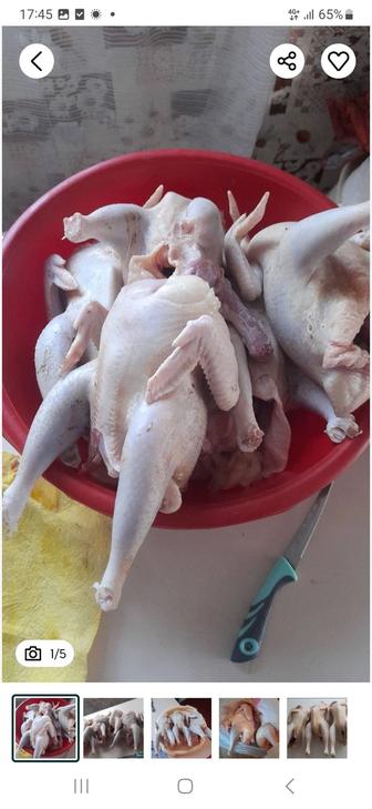 Домашние курочки,соленье, варенье дачное