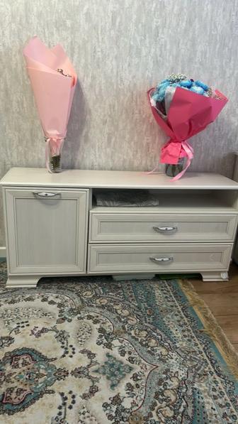 Тумбу под телевизор