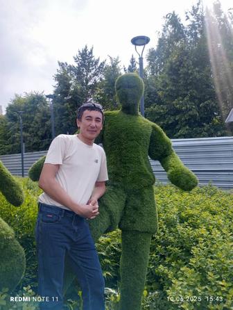 Шкурка краска