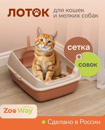 Инфографика для маркет плейсов