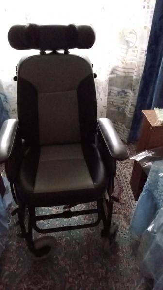 Домашняя коляска