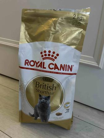 Royal canin British shorthair сухой корм