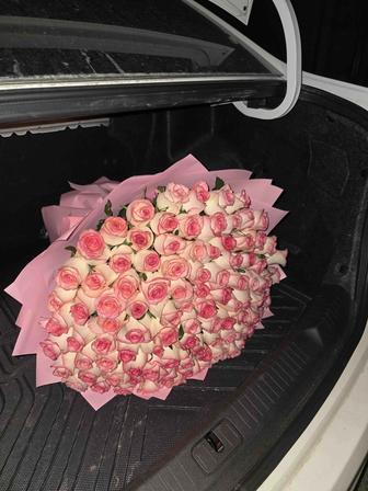 101 роза голландские